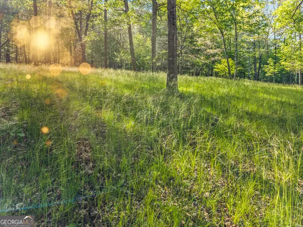 $1,400,000 | 1070 Riverwalk Point, Bishop, GA 30621