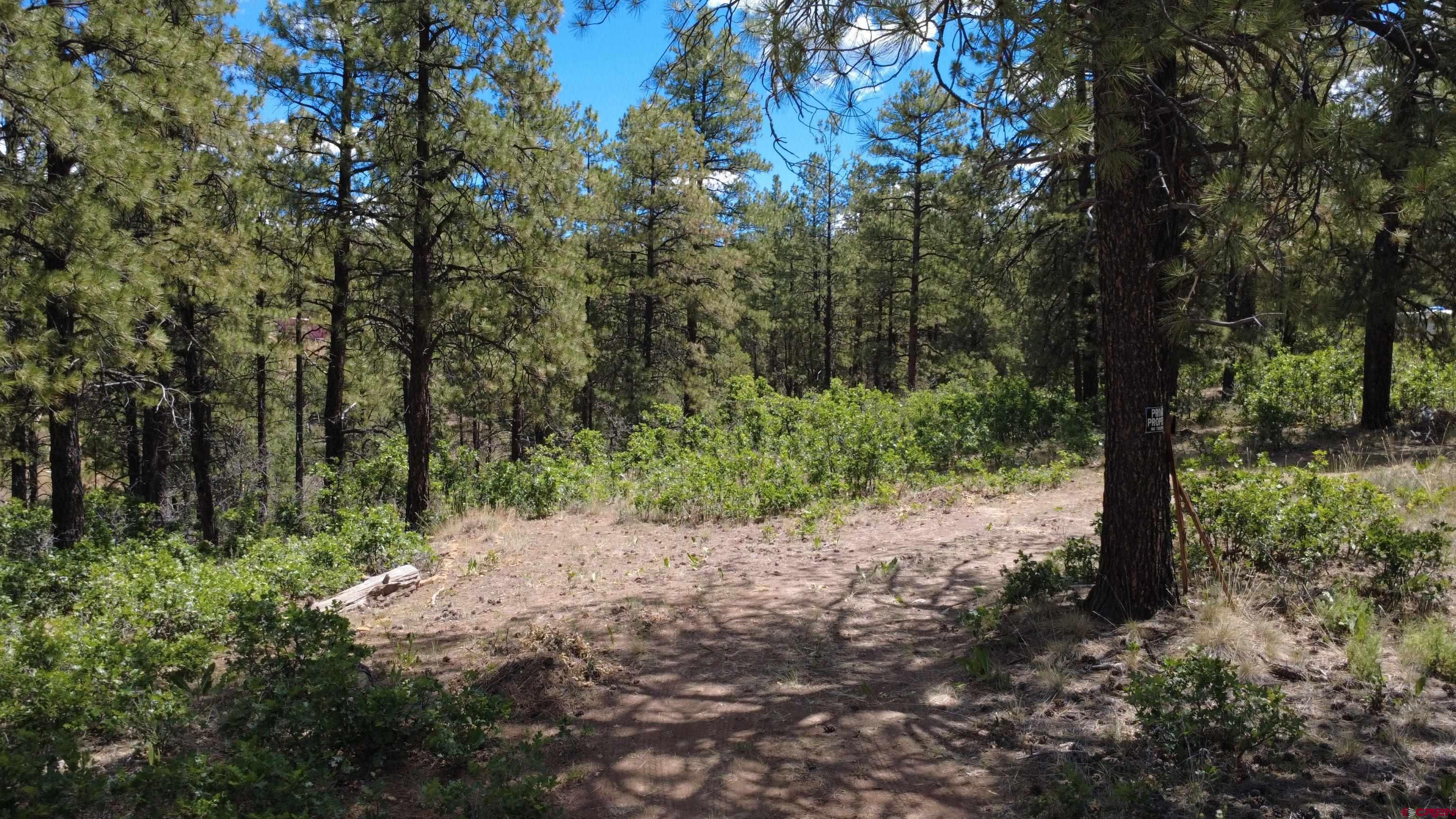 121 Engineer Point Pagosa Springs, CO 81147 - Photo 4 of 43