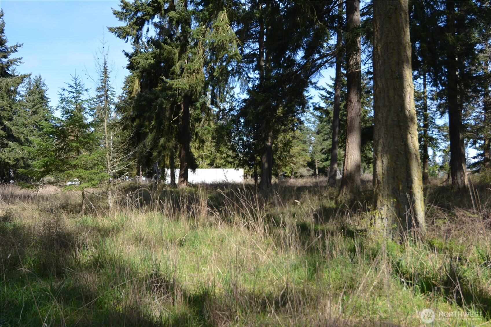 999 West Silberhorn Road Sequim, WA 98382 - Photo 11 of 21