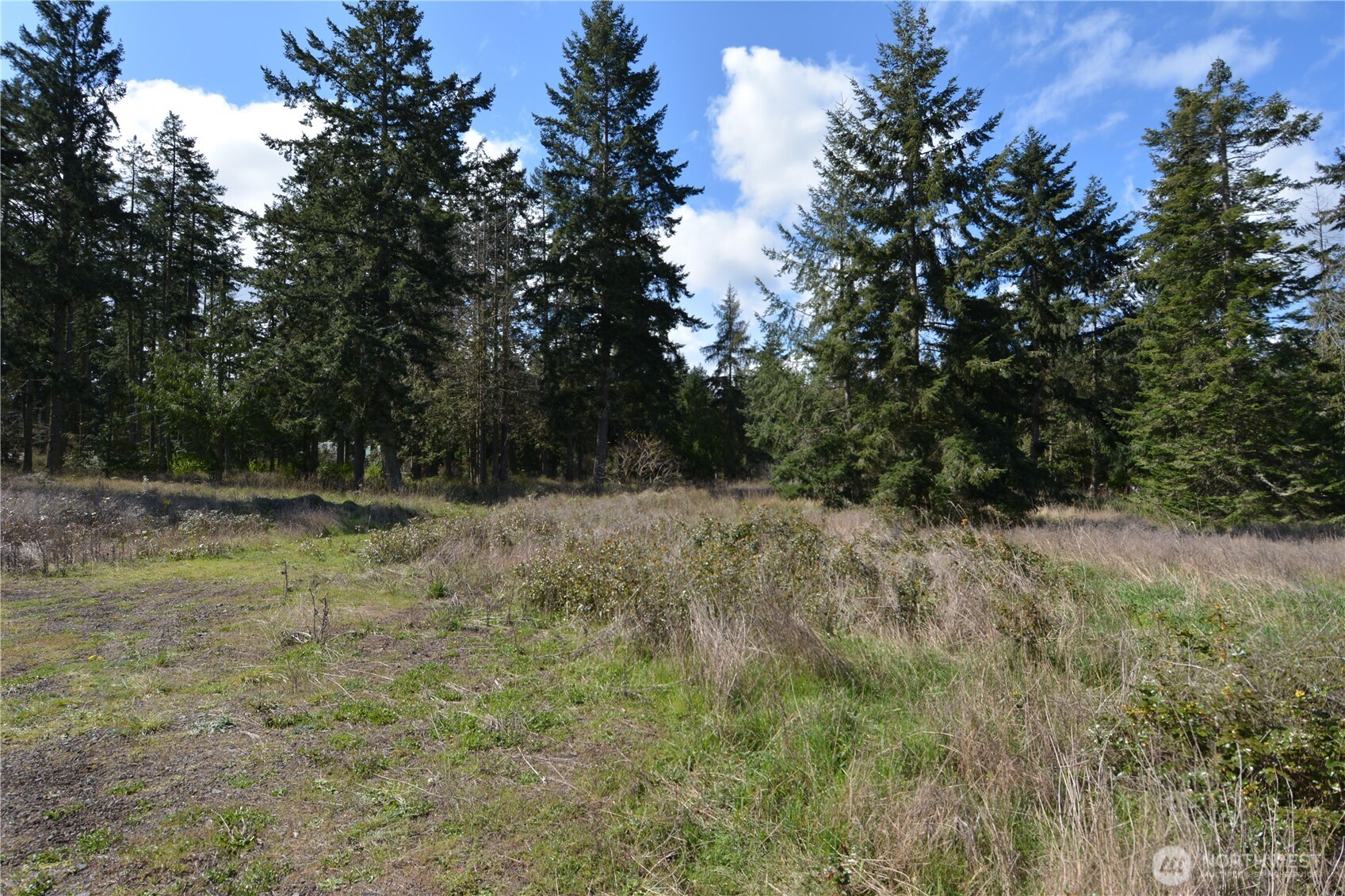 999 West Silberhorn Road Sequim, WA 98382 - Photo 13 of 21