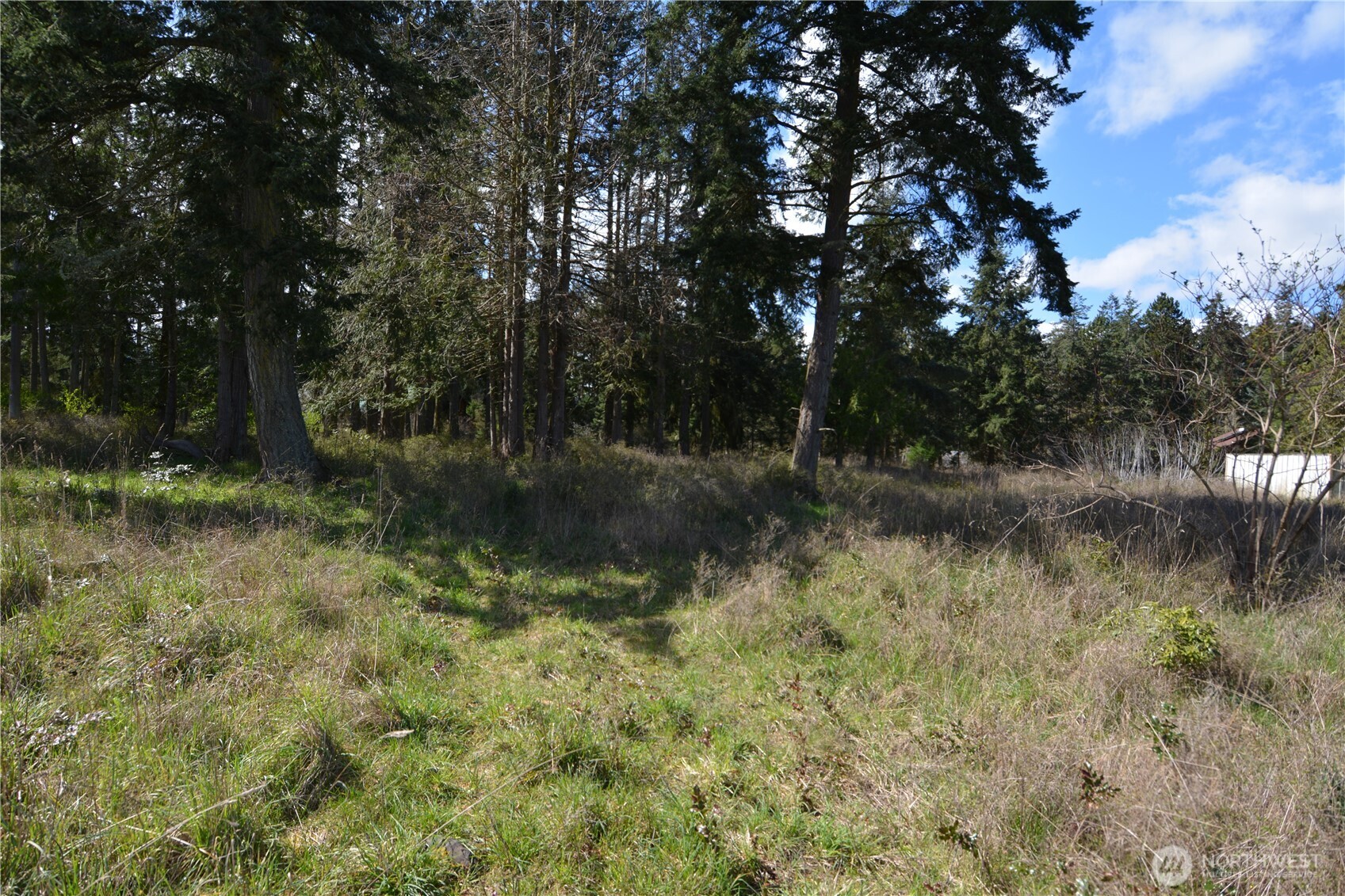 999 West Silberhorn Road Sequim, WA 98382 - Photo 14 of 21