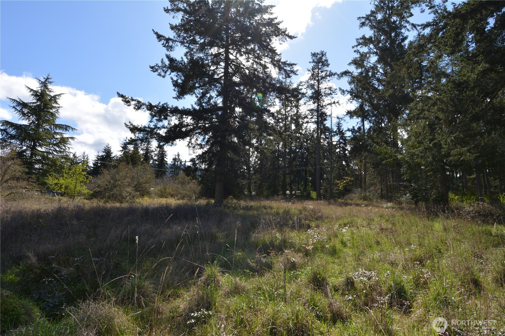 999 West Silberhorn Road Sequim, WA 98382 - Photo 16 of 21