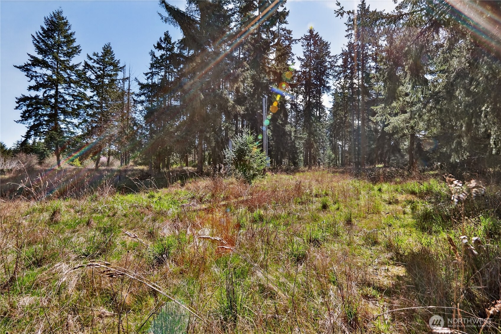 999 West Silberhorn Road Sequim, WA 98382 - Photo 18 of 21