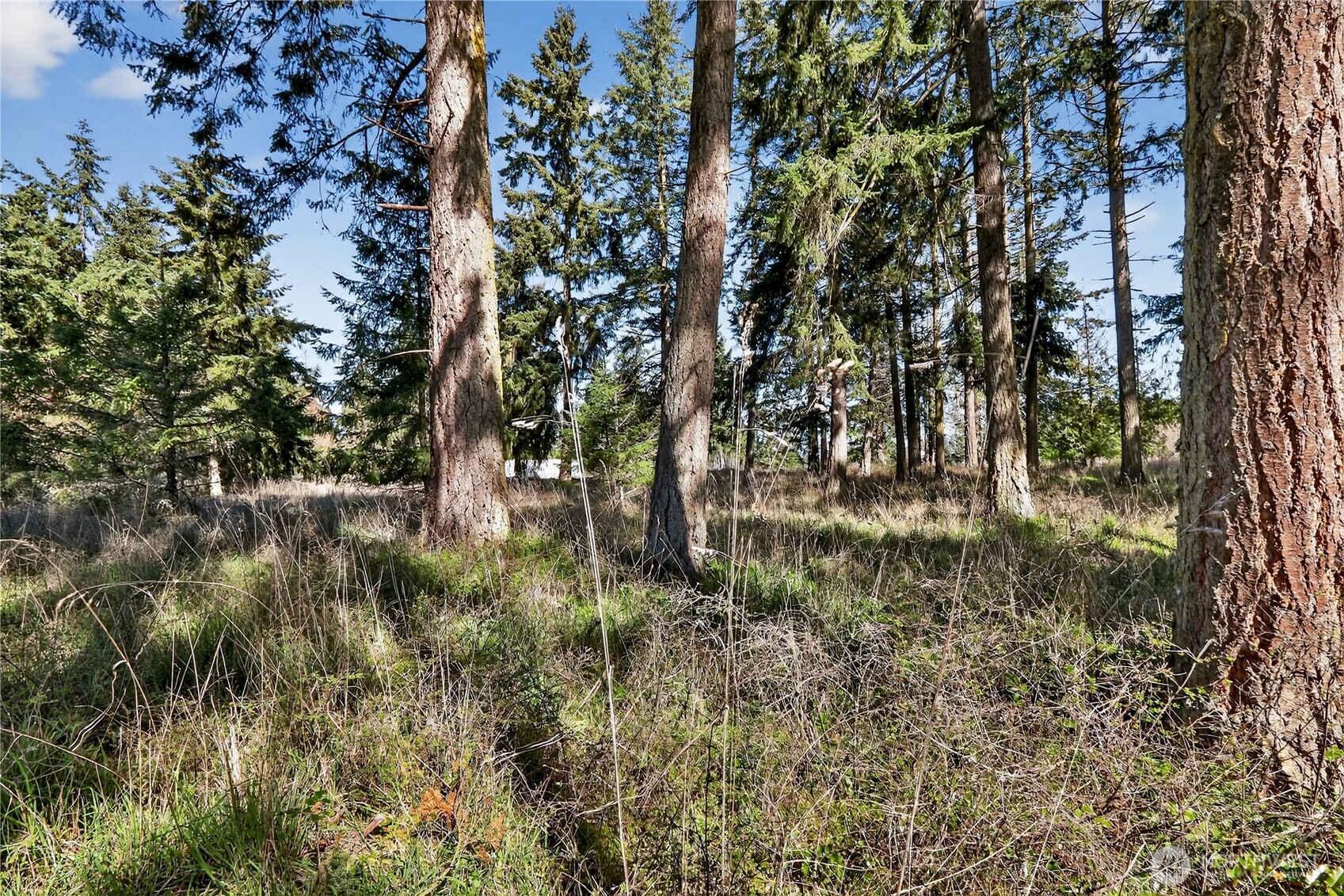 999 West Silberhorn Road Sequim, WA 98382 - Photo 20 of 21