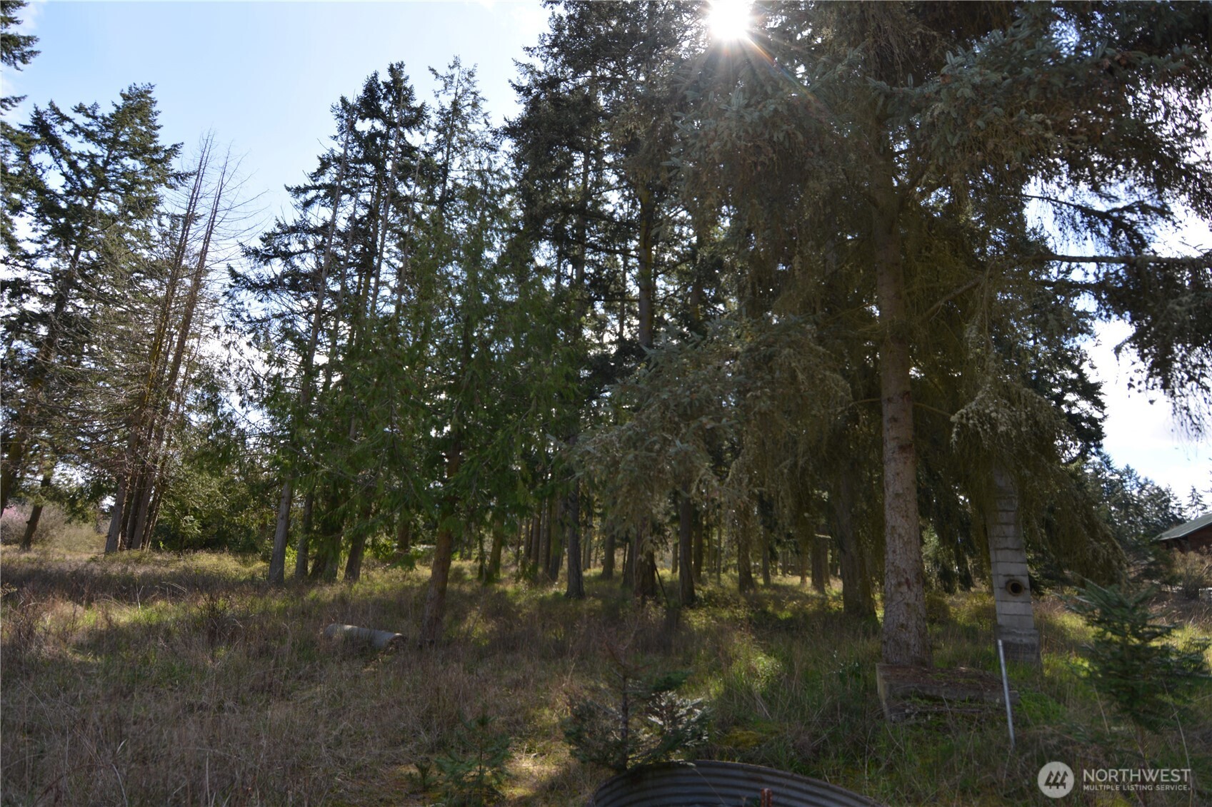 999 West Silberhorn Road Sequim, WA 98382 - Photo 7 of 21