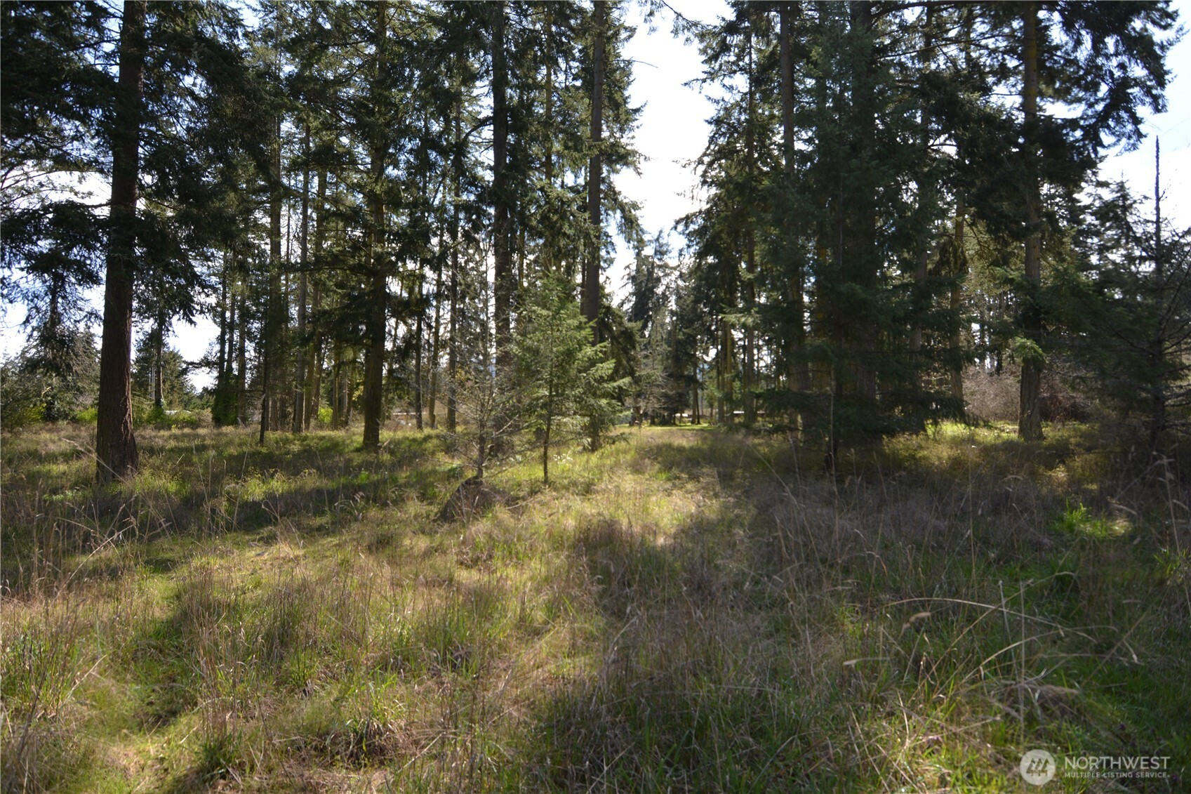 999 West Silberhorn Road Sequim, WA 98382 - Photo 8 of 21