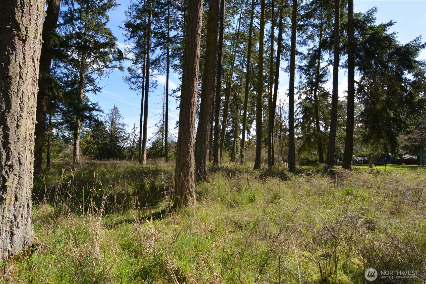 999 West Silberhorn Road Sequim, WA 98382 - Photo 9 of 21