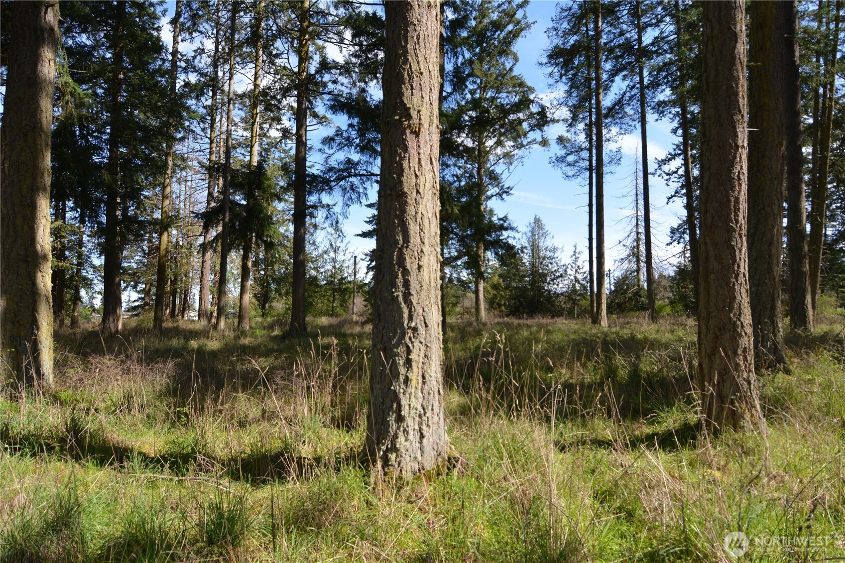 999 West Silberhorn Road Sequim, WA 98382 - Photo 10 of 21