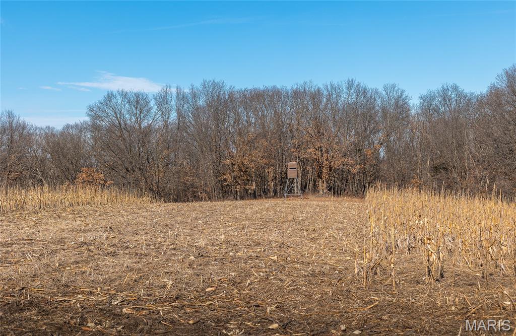 61120 Jubilee Road Green City, MO 63545 - Photo 22 of 86