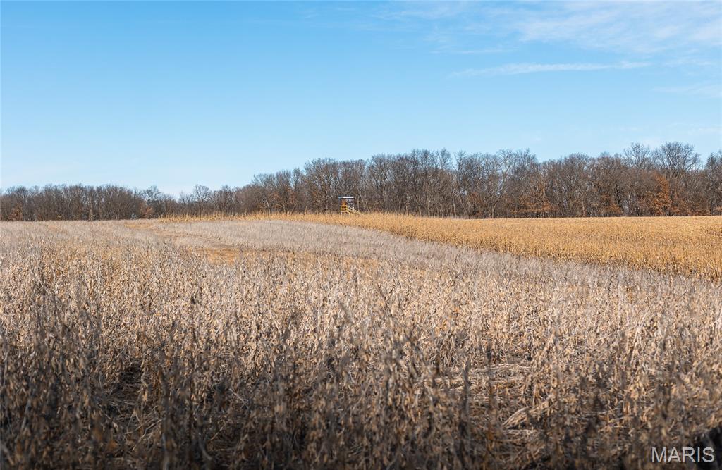 61120 Jubilee Road Green City, MO 63545 - Photo 23 of 86