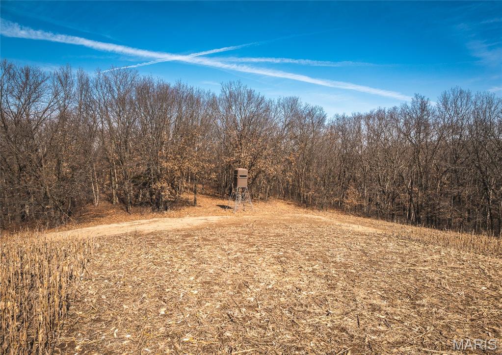 61120 Jubilee Road Green City, MO 63545 - Photo 57 of 86