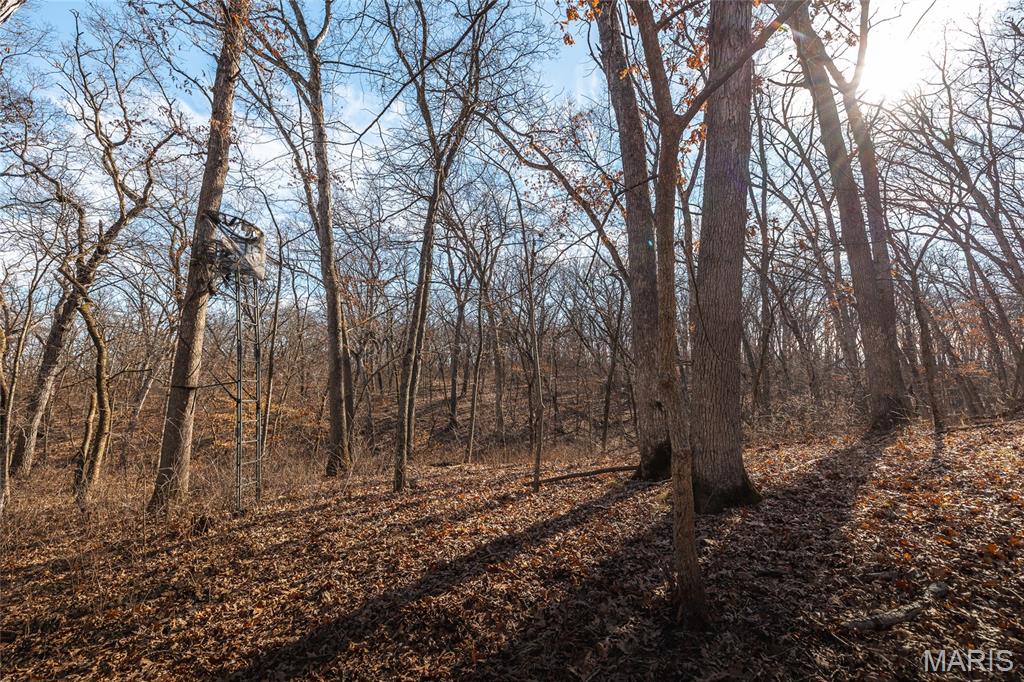 61120 Jubilee Road Green City, MO 63545 - Photo 76 of 86