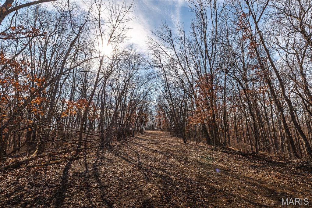 61120 Jubilee Road Green City, MO 63545 - Photo 81 of 86