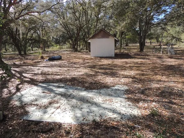 a view of outdoor space with trees