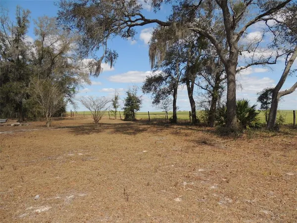 a view of outdoor space with trees