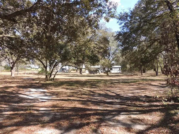 a view of large trees and a yard