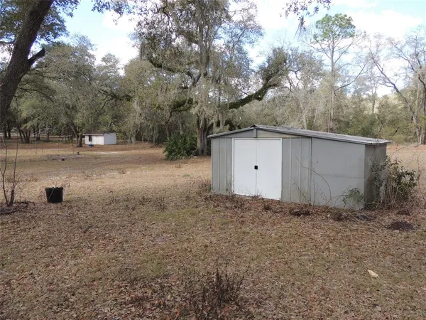 a view of backyard and trees