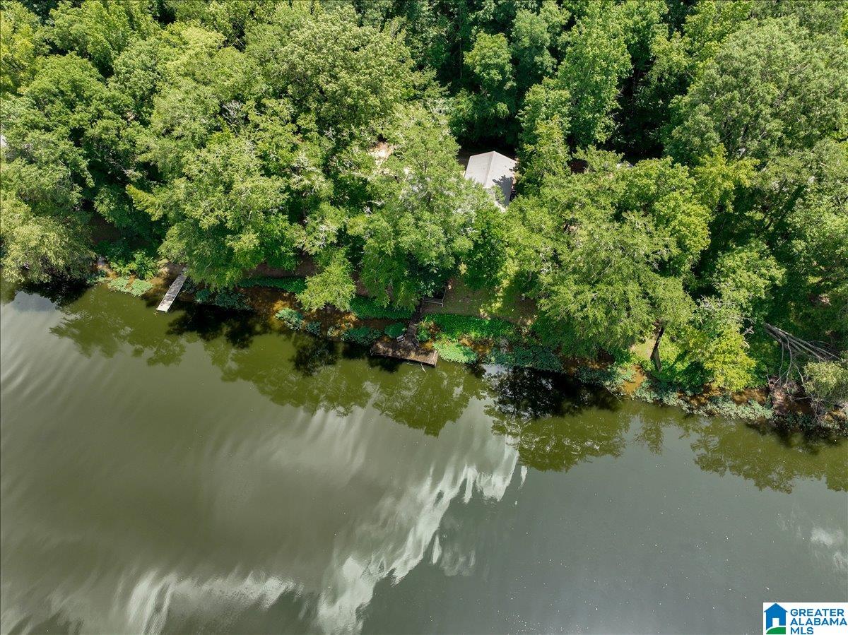 526 Boat Launch Road Quinton, AL 35130 - Photo 41 of 56