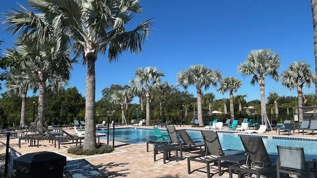 a view of a swimming pool with outdoor seating and a palm tree