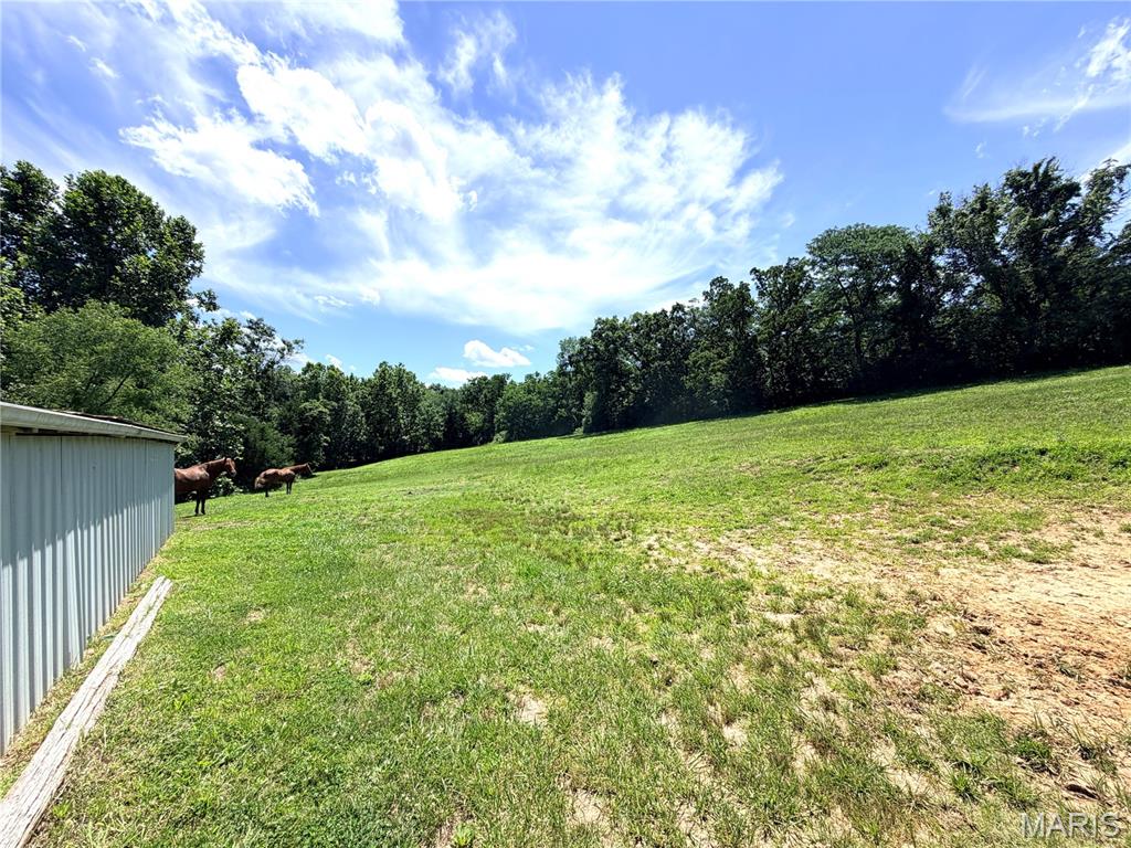 1086 Mill Hill Road St. Clair, MO 63077 - Photo 11 of 34