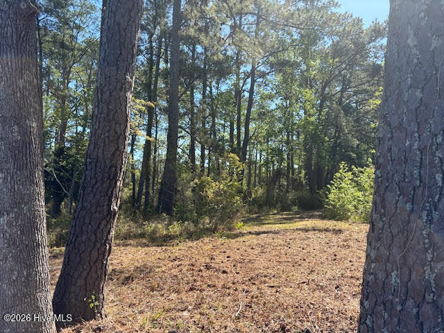 611 Becton Road Havelock, NC 28532 - Photo 11 of 22 unnamed (3)