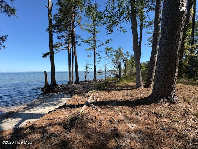 611 Becton Road Havelock, NC 28532 - Photo 2 of 22 beautiful water views