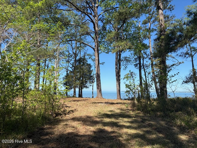 611 Becton Road Havelock, NC 28532 - Photo 7 of 22 unnamed