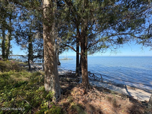 611 Becton Road Havelock, NC 28532 - Photo 9 of 22 unnamed (7)