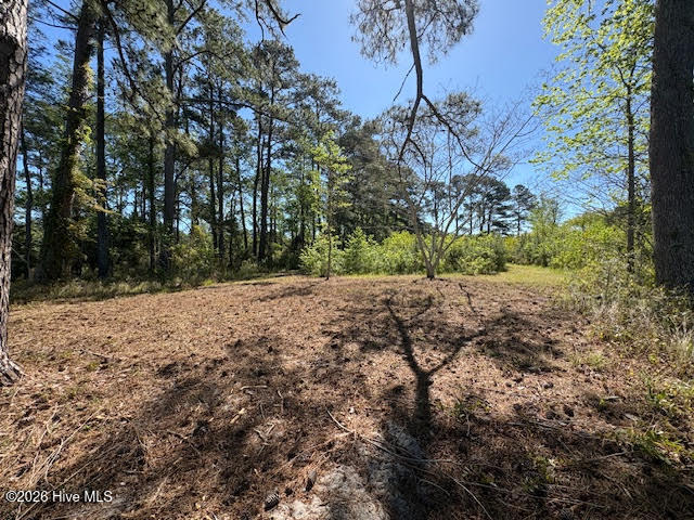 611 Becton Road Havelock, NC 28532 - Photo 10 of 22 view looking back from beach