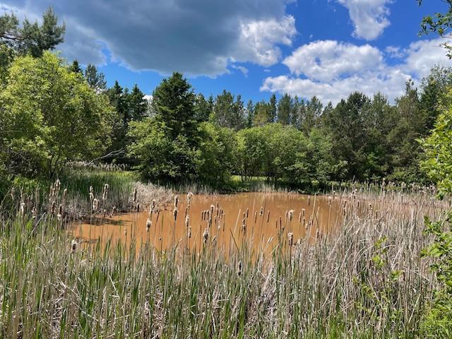 1735 Highway 12 Two Harbors Two Harbors, MN 55616 - Photo 5 of 42