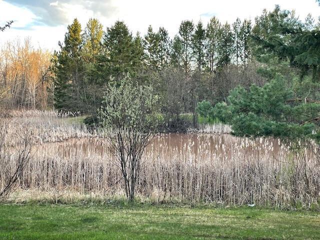 1735 Highway 12 Two Harbors Two Harbors, MN 55616 - Photo 6 of 42