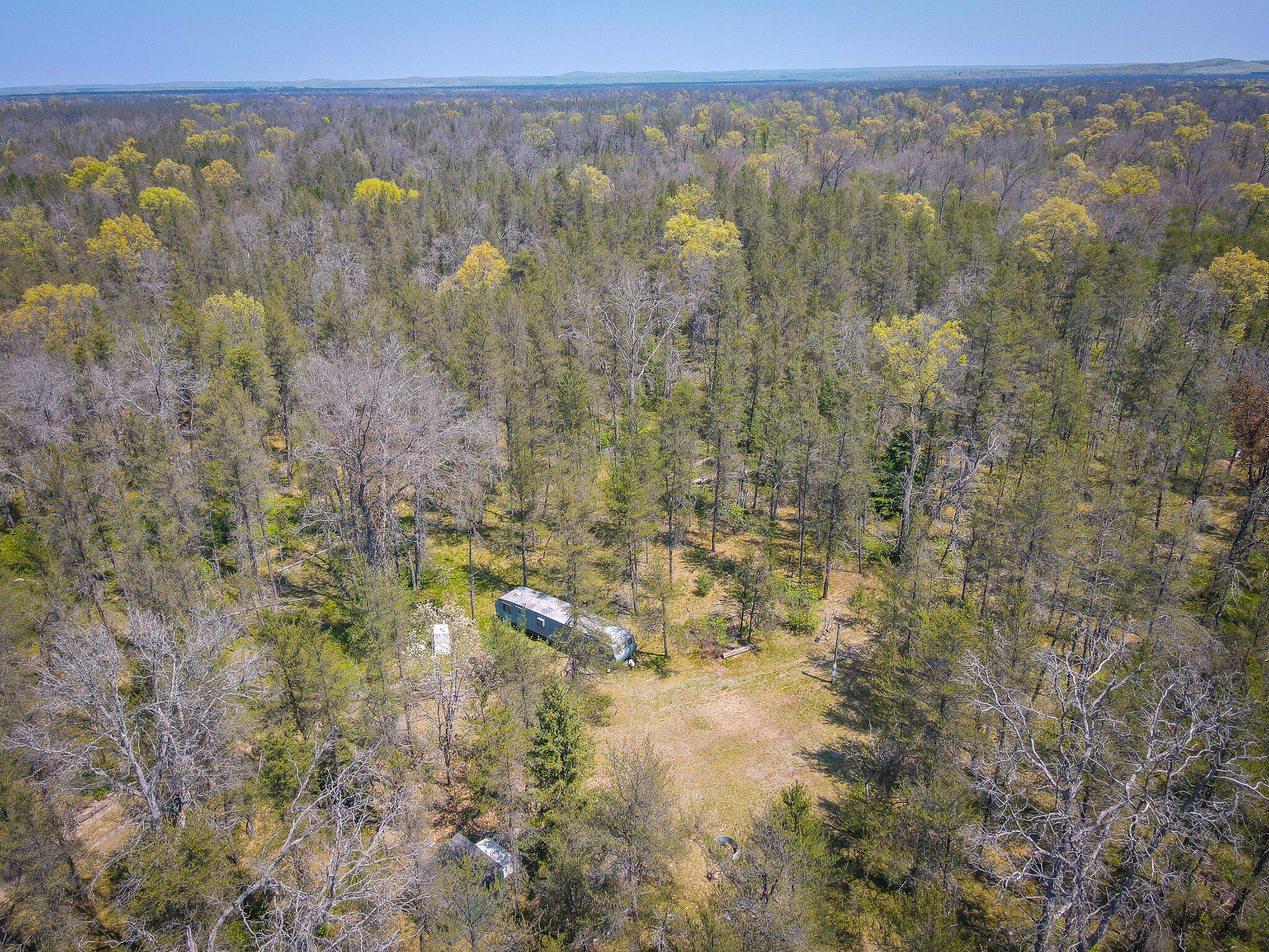 10517 North Power Pole Road Irons, MI 49644 - Photo 12 of 24 dji_fly_20240515_125420_6_1715792095846_