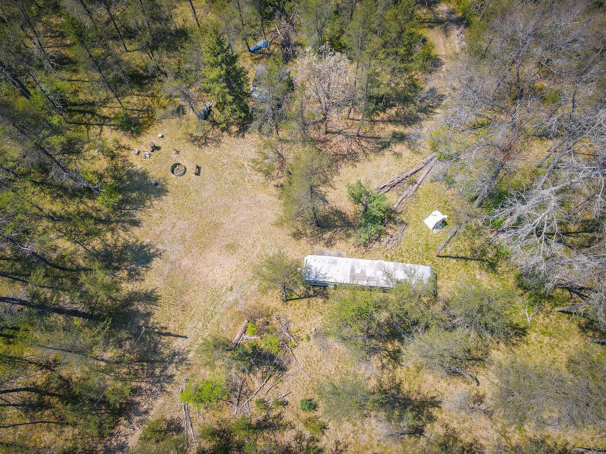 10517 North Power Pole Road Irons, MI 49644 - Photo 14 of 24 dji_fly_20240515_125614_15_1715792206516