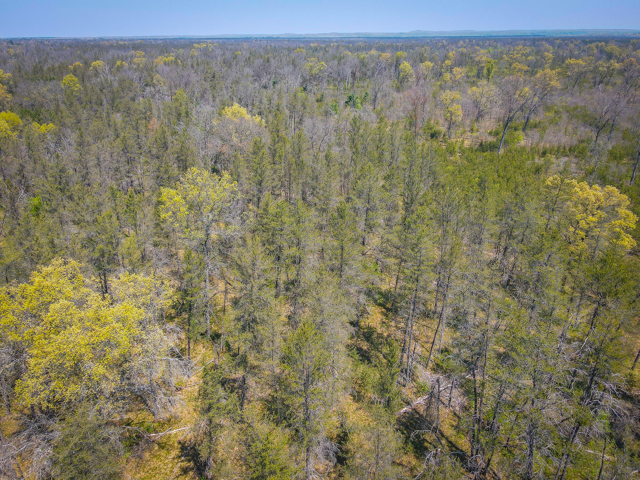 10517 North Power Pole Road Irons, MI 49644 - Photo 16 of 24 dji_fly_20240515_125516_12_1715792149623