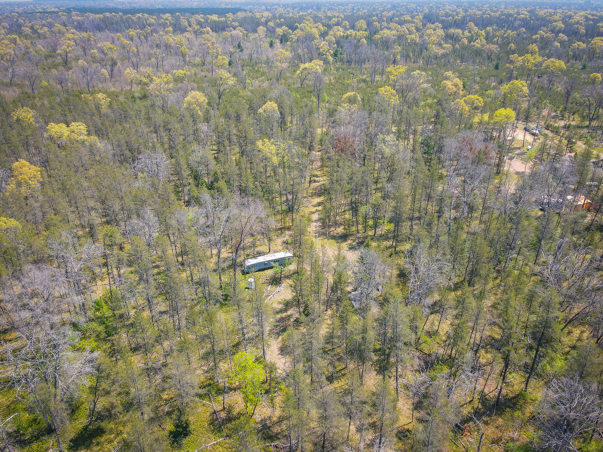 10517 North Power Pole Road Irons, MI 49644 - Photo 2 of 24 dji_fly_20240515_125118_997_171579189287