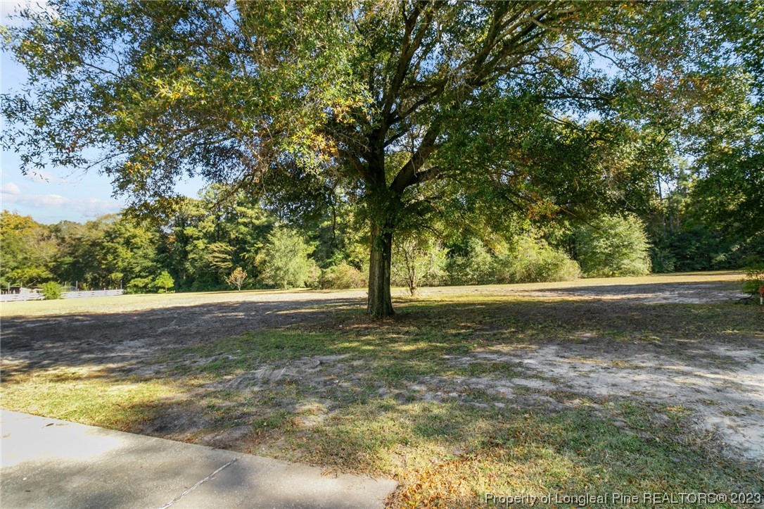 4659 Tabor Church Road Fayetteville, NC 28312 - Photo 48 of 50 a view of a trees with a yard