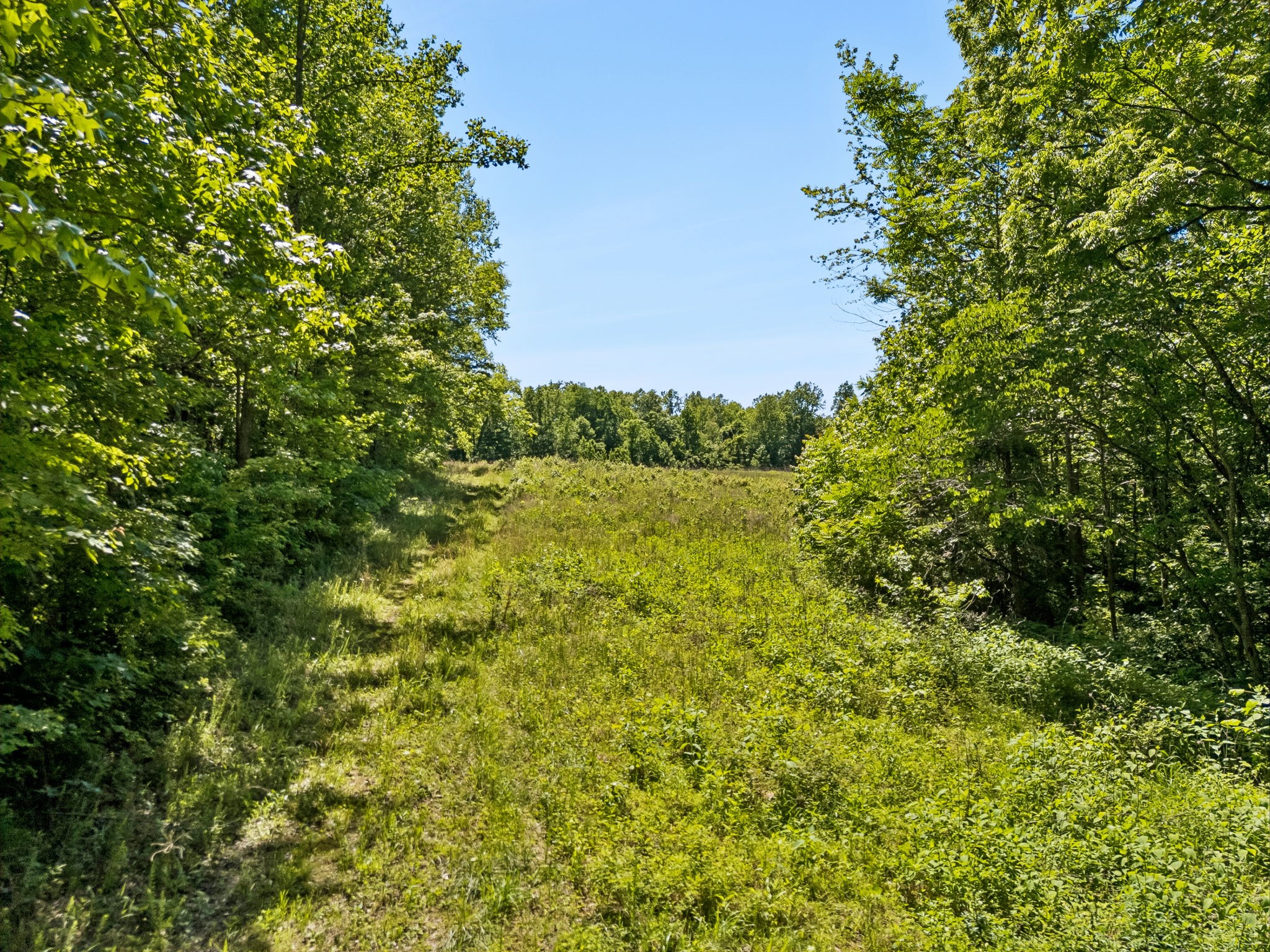 655 Burton Ridge Road Silver Point, TN 38582 - Photo 59 of 64