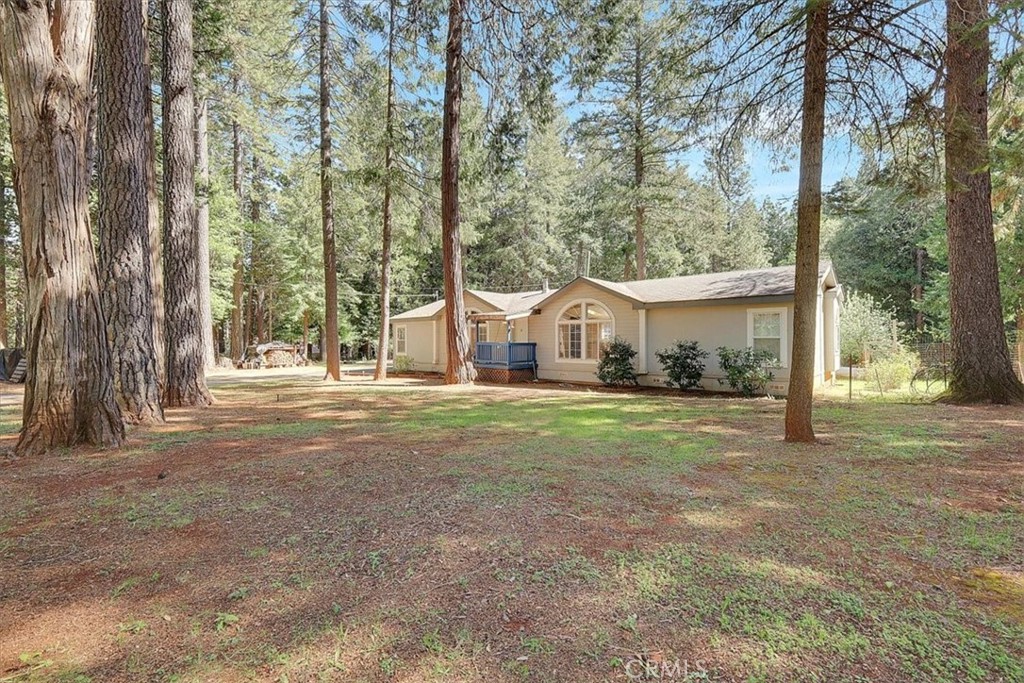138 Big Fir Road Forbestown, CA 95941 - Photo 6 of 53