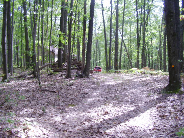 Snowmobile Trail Fairview, MI 48621 - Photo 11 of 12 Gallery Image 11