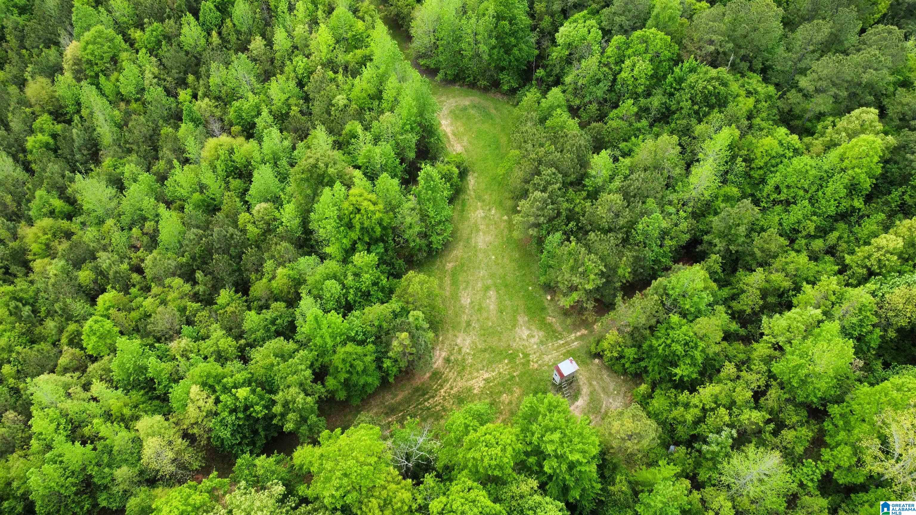 0 County Road 44 Linden, AL 36748 - Photo 15 of 48
