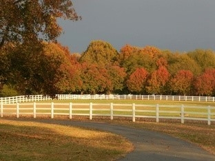 400 Farm Lake Road Boiling Springs, SC 29316 - Photo 18 of 19 Gallery Image 18