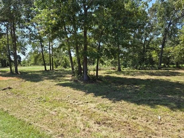 $39,000 | Lot 3 Farm To Market 980, Point Blank, TX 77364