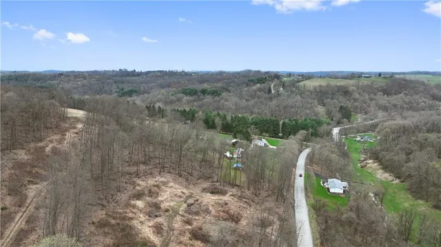 a view of a lake in middle of forest