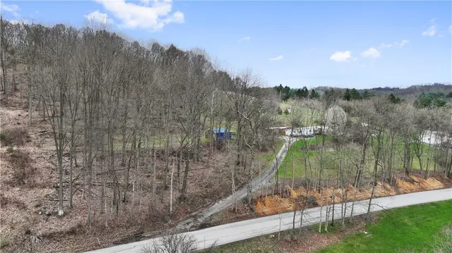 a view of a park with large trees
