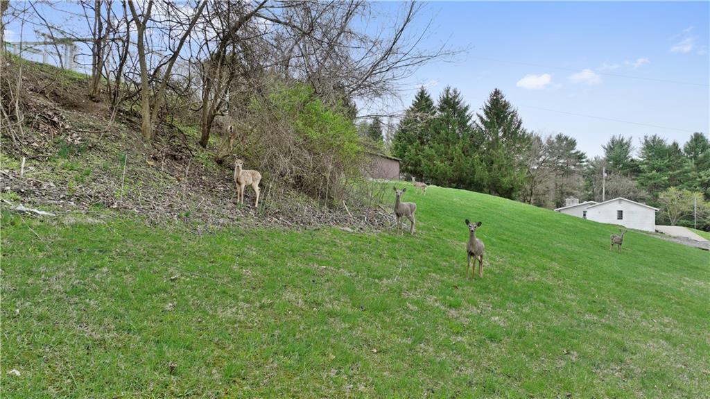 700 Sugar Run Road Eighty Four, PA 15330 - Photo 2 of 25 a view of a green field with covered trees
