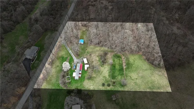 a close up of a trees