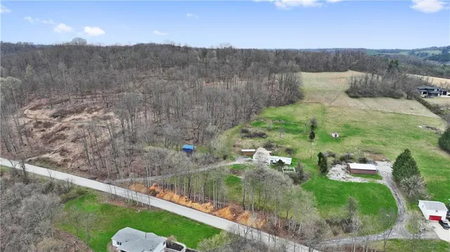 an aerial view of green landscape with trees