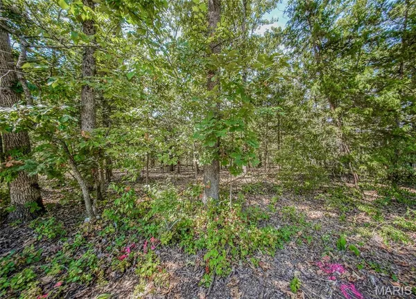 $25,000 | 0 Faust Court, Rolla, MO 65401