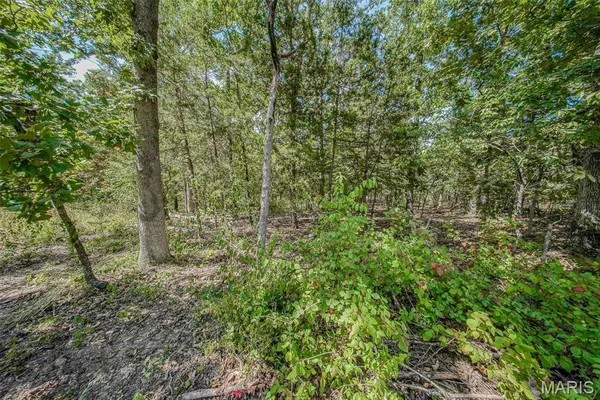 $25,000 | 0 Faust Court, Rolla, MO 65401