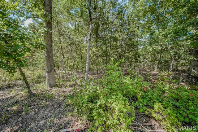 $25,000 | 0 Faust Court, Rolla, MO 65401